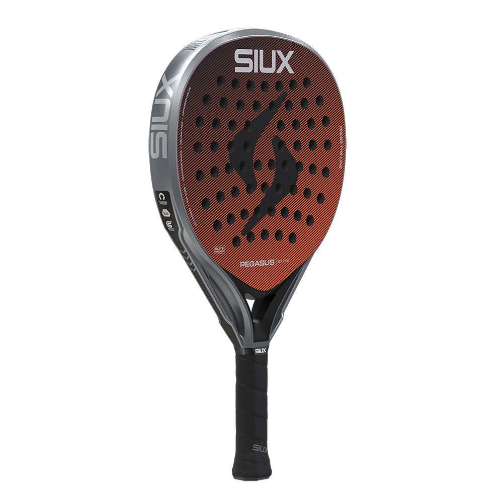 SIUX PEGASUS ELITE 4 2026