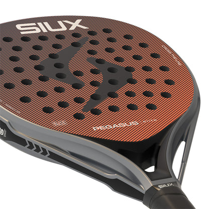 SIUX PEGASUS ELITE 4 2026