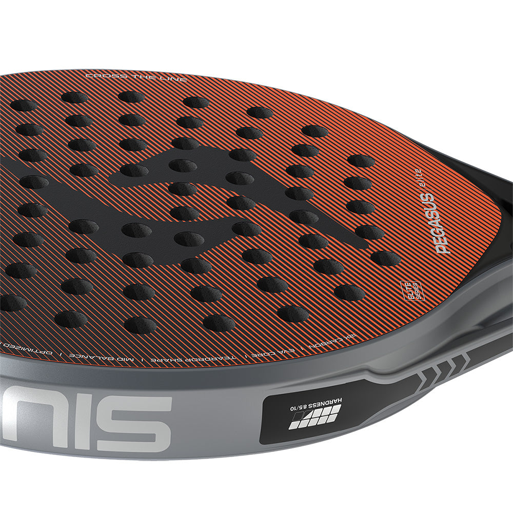 SIUX PEGASUS ELITE 4 2026