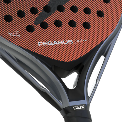 Siux Pegasus Elite 2026
