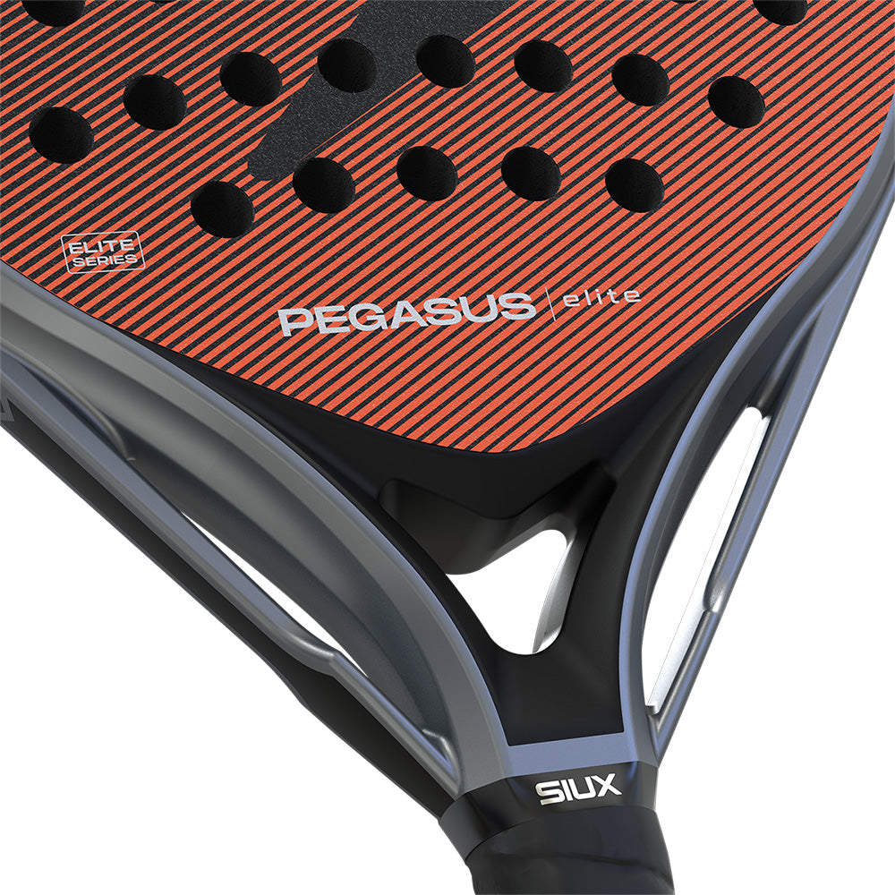 SIUX PEGASUS ELITE 4 2026